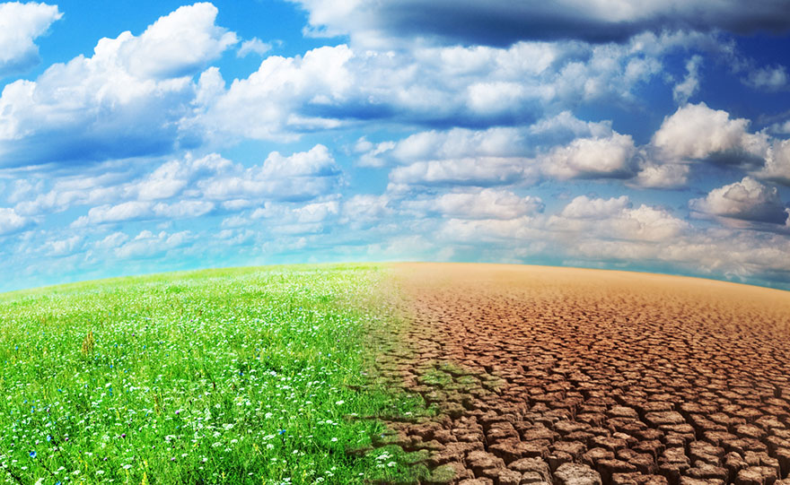 Un article sur le climat
